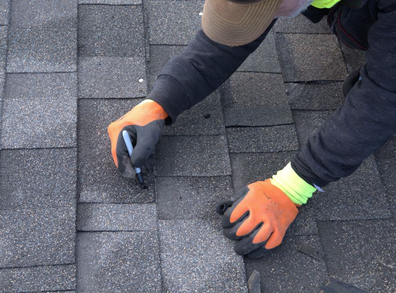 Professional Asphalt Roof Repair - Routine Maintenance