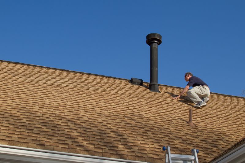 Professional Asphalt Roof Repair - Inspection