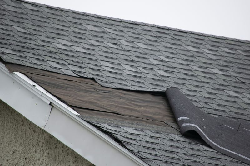 Professional Asphalt Roof Repair - Shingle Replacement
