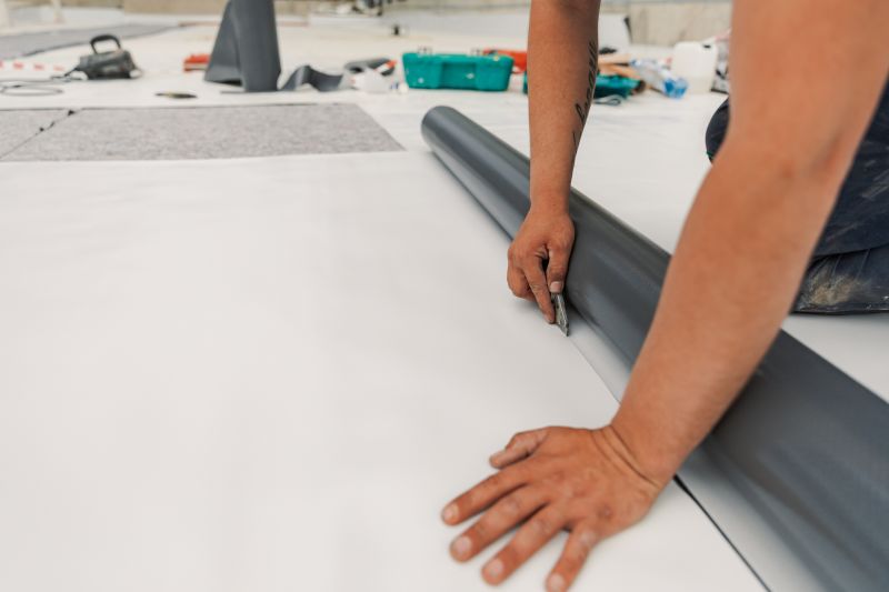 Tpo Roof Coating Service